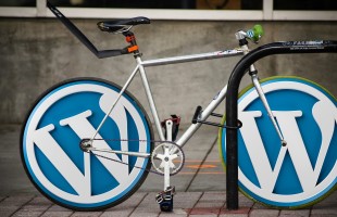 wordpress